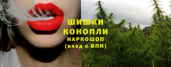 кокс Белокуриха