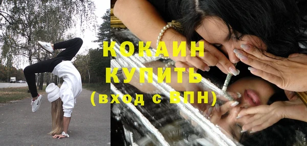 кокс Белокуриха