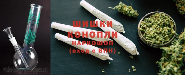 кокс Белокуриха