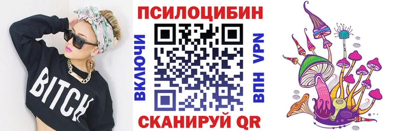 Купить закладки  Щёлкино  Псилоцибиновые грибы Cubensis 